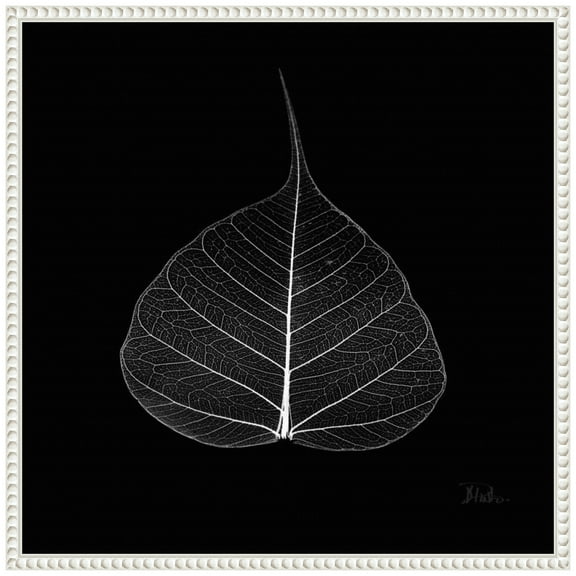 Amanti Art Minimalist Leaf on Black I Framed Canvas Wall Art Print