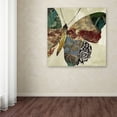 thumbnail image 3 of Trademark Fine Art "Butterfly Brocade II" Canvas Art by Color Bakery, 3 of 3