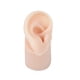 thumbnail image 2 of Modelo de oreja de silicona, modelo de oreja real artificial, textura delicada, entrenamiento flexible. Derecha, 2 of 9