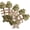 5PCS, variant on Catnip and Silvervine Chew, 7 in Cat Chew Toy with Natural Catnip Sticks, Dental Teeth Cleaning Treat for Indoor Cats All Breeds
