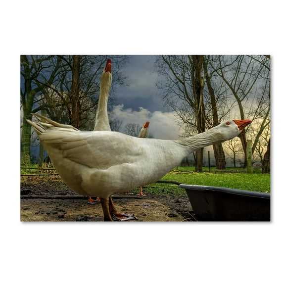 Piet Flour 'The 3 Geese' Canvas Art