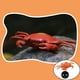 thumbnail image 5 of Juguete de cangrejo eléctrico infrarrojo creativo RC, parodia, telemando, animales falsos, , , juguetes complicados, regalos, acces CUTICAT Juguetes de cangrejo RC, 5 of 8