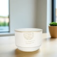 thumbnail image 1 of ELAYARD 1Pc White Iron Flowerpot Retro Design for Desktop and Window Sill Decoration, 1 of 6