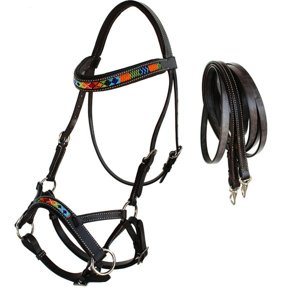 Horse Western Padded Leather Beaded Bitless Sidepull Bridle Reins 77RT15BR-F