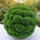 thumbnail image 2 of Bola de Musgo Artificial Sincero Verde 12 cm, 2 of 7