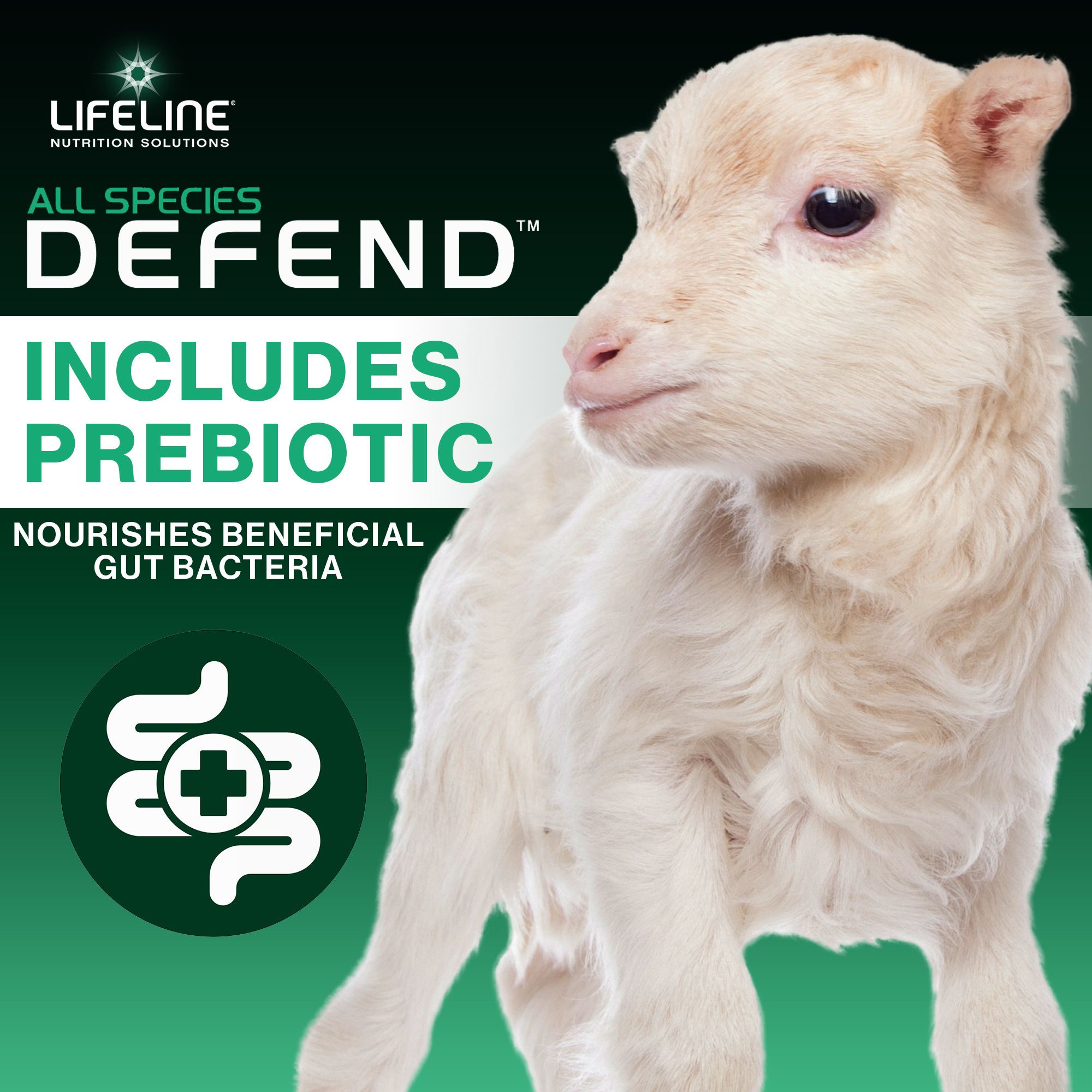 ANNUSO LIFELINE Defend All Species Colostrum Supplement, 1lb Bag - 30g Globulin Protein - Prebiotics, Immune & Gut Support - For Lambs, Kids, Piglets, Puppies, Kittens - Easy Mix Serum-Based Formula