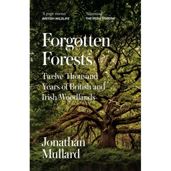 Forgotten Forests: Twelve Thousand Years of British and Irish Woodlands, (Paperback)