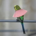 thumbnail image 3 of Raindrops 4 Pcs Protège-Cou pour Perroquet Col Doublure Douce Protection des Oiseaux Cône de Récupération, 3 of 8