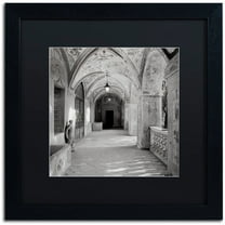 Trademark Fine Art "Padova I" Canvas Art by Alan Blaustein, Black Matte, Black Frame