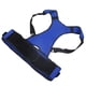 thumbnail image 5 of Corrector de postura unisex ajustable para aliviar el dolor de espalda, de color azul, para niños y adultos, 5 of 8