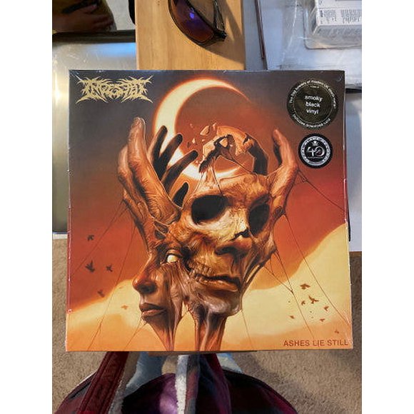 INGESTED ASHES LIE STILL