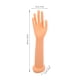 thumbnail image 5 of KAKOWELY Exhibición de mano de maniquí femenino Modelo de mano de mujer Mano de maniquí larga de mujer para joyería, 5 of 5