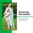 thumbnail image 5 of Nutri-Vet Dental Health Soft Chews for Dogs- Helps Control Plaque and Tartar Buildup- Natural Hickory Smoke Flavor- 70 Count - 6 oz, 5 of 7