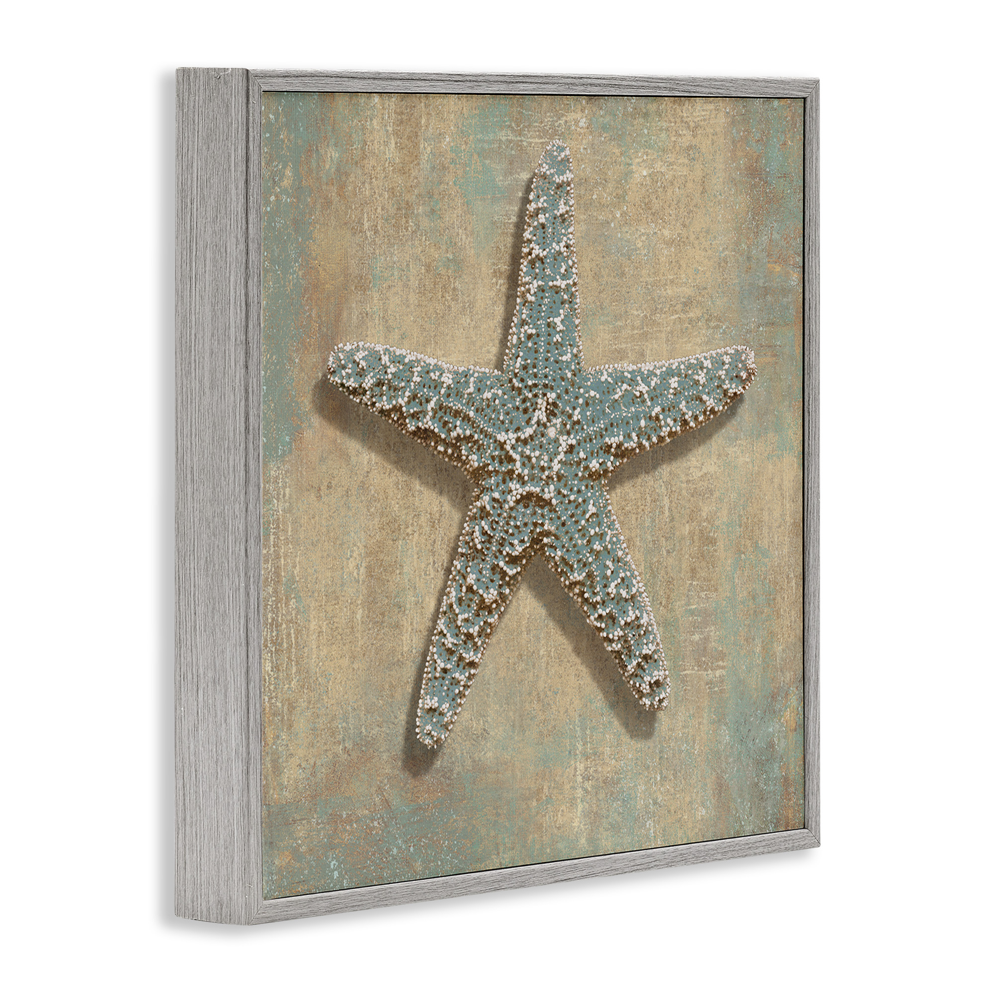 Stupell Industries Starfish Beach Objects Design Nature Painting Gray Framed Art Print Wall Art, 24 x 24