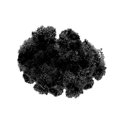 thumbnail image 1 of Reindeer Moss Preserved, Black Moss 4 Ounces, Bulk Moss for Crafts or Floral Projects, 1 of 1