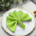 thumbnail image 6 of Balsa Circle 5 Pieces 17" Polyester Fabric Napkins Apple Green, 6 of 8