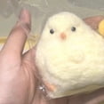 thumbnail image 5 of Keai Juguetes Hechos A Mano para Rascar y Frotar Pollo Amarillo Pequeño Juguete de Regalo de Pollo de Silicona B, 5 of 5