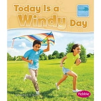 Today Is a Windy Day