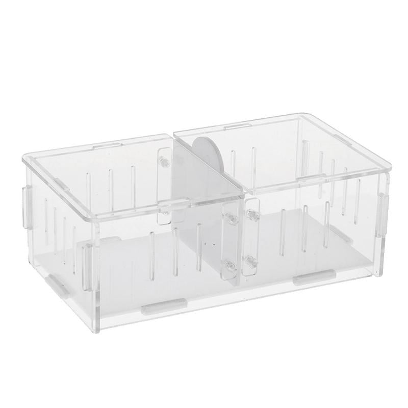 1X Cricket Grasshopper Fighting Transparent Acrylic Viewing Box Cage 