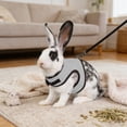 thumbnail image 4 of Rewenti Mesh Bunny Walking Set with Leash Breathable Bright and Attractive Color for Rabbits Weighing Approx 3Kg, 4 of 5