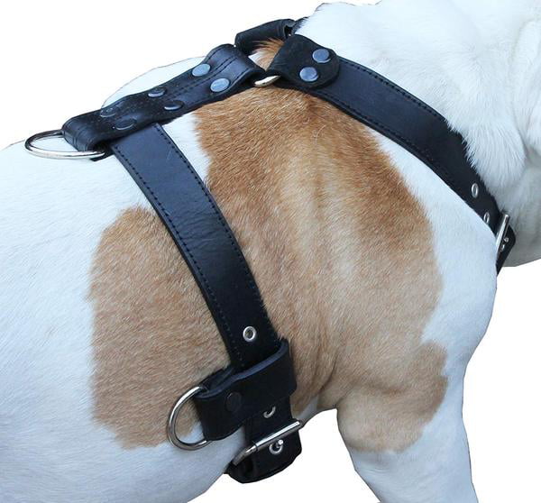Walking Training Dog Harness Cotton Web 32"-37" chest Doberman Pitt Bull Boxer 