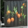 thumbnail image 3 of Ambesonne Dark Orange Shower Curtain, Leafy Branches Mandarin, 69"Wx70"L, Dark Green Charcoal Grey, 3 of 4