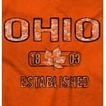 thumbnail image 2 of Ohio Vintage Buckeye Leaf Stencil OH Unisex Plus Fleece Graphic Hoodie Brisco Brands 2X, 2 of 5