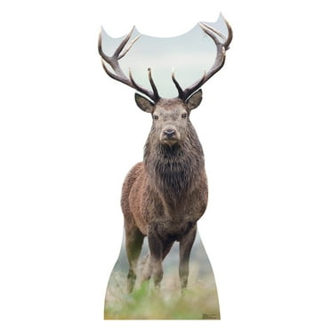 Advanced Graphics 1817 Deer Cardboard Standup