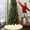 Beige_BG, variant on EWASWON Christmas 1Pcs Oversized Knitted Christmas Tree Skirt - 50 Inch Red, Holiday Decor for Christmas Tree Base