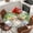 SkyBlue LightGreen PowDerBlue, variant on Ocean Gnomes Round Tablecloth, Fitted Table Cover with Elastic for 36"-44" Round Tables, Coastal Shell Palm Leaf Shell Starfish Table Cloth Outdoor Indoor Dinning Party Waterproof Tablecloths