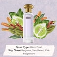 thumbnail image 4 of Colette by Tocca for Women - 0.68 oz EDP Spray, 4 of 5