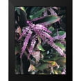 thumbnail image 2 of Melanson, Suzanne 15x18 Black Modern Framed Museum Art Print Titled - Lavender Beauty, 2 of 5