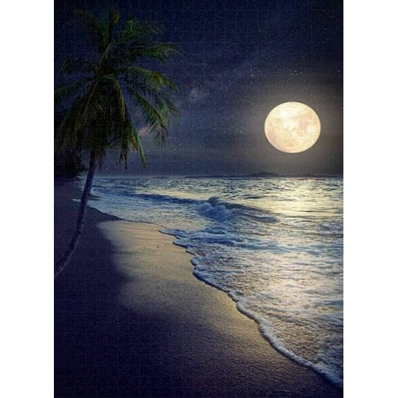 Jigsaw Puzzle 1000 Pieces for Adults Beach and Full Moon Puzzles Gift Family Decoration 29.5 x 20 In