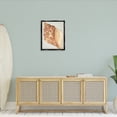 thumbnail image 4 of Stupell Industries Traditional Tan Conch Shell Black Floating Frame Canvas Art, 25 x 31, by June Erica Vess, 4 of 8
