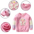 thumbnail image 1 of Chandail Décontracté pour Filles Bébé Pull Col Rond Hiver Hauts Chemises Vêtements pour 1-7 Ans, 1 of 5