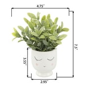 Mainstays Tabletop Artificial Faux Tea Leaf Plant in White Ceramic Shy Girl Pot, 3