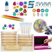 Amazing Bacteria Science Kit - Prepoured Agar Plates Kit - Science Project Kit - Outstanding Performance - Science Project Experiment Ebook Included - Have Fun Learning Microbiology Now
