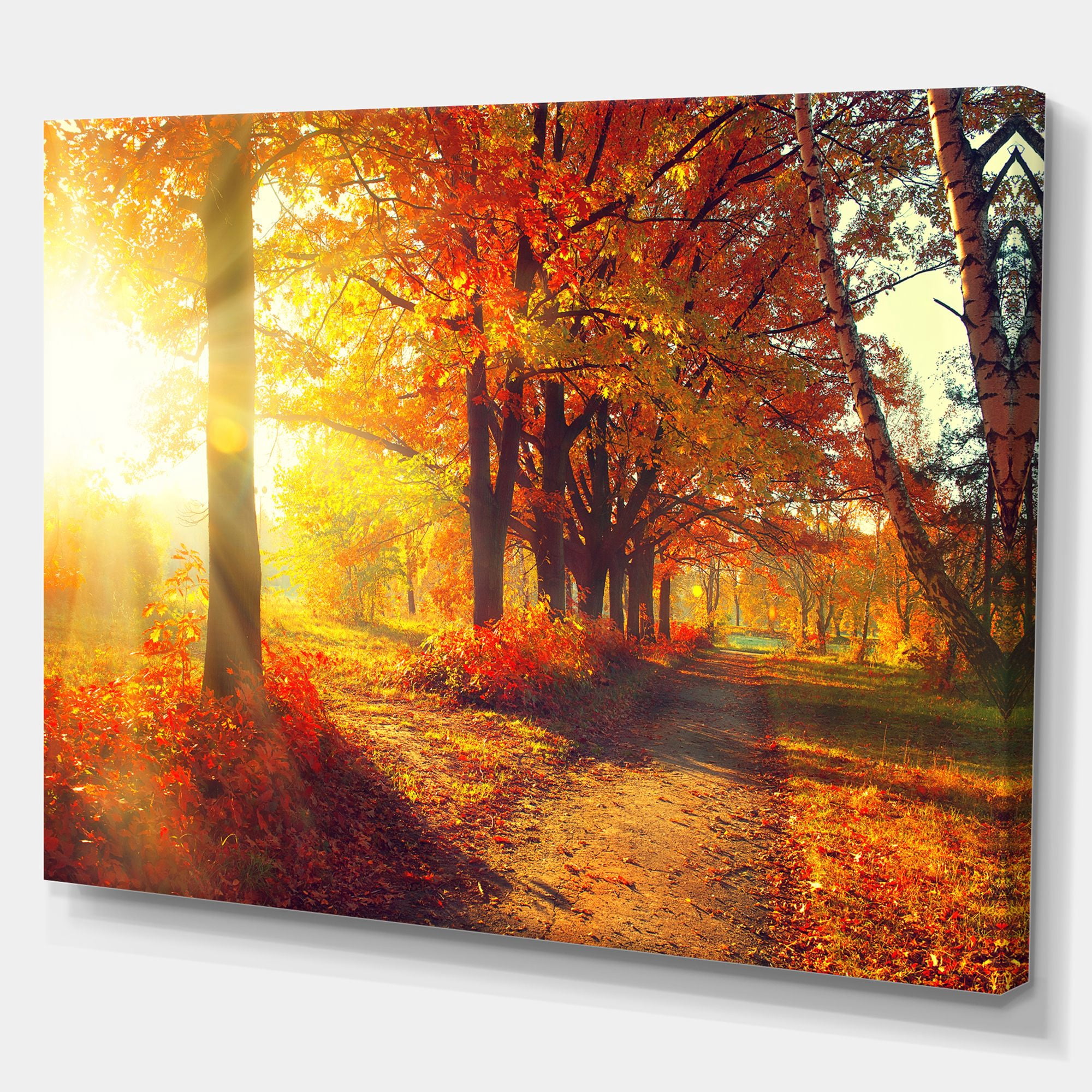 Designart 'Autumnal Trees in Sunrays ' Large Landscape Canvas Art Print