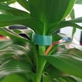 thumbnail image 3 of Dosaele 2 Rouleaux de Ruban Velcro Réutilisable en Nylon pour Plantes de Jardin 10mm x 10m Vert, 3 of 4
