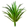 thumbnail image 1 of Coofit Artificial Succulent Plastc Faux DIY Succulent Plant Unpotted Succulent for Home, 1 of 10