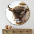 thumbnail image 2 of Designart 'Close UP Of Wild Bison' Farmhouse Circle Metal Wall Art 36x36 - Disc of 36, 2 of 5