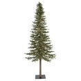 thumbnail image 1 of Arbre Alpin 10 Pi, Vert, 1 of 1