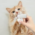 thumbnail image 4 of Pet Supplies Toothbrush Finger Gentle For Dogs Cats Care Tool Easy Cleaning Plaque Grooming For Small Medium Large Animals, 4 of 6