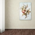 thumbnail image 3 of Trademark Fine Art "Coffee Flower and Bean" Canvas Art by Wendra, 3 of 6