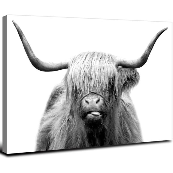 Highland Cow Wall Art for Bathroom Decor Rustic Longhorn Wall Decor Black and White Hairy Cattle Photo Canvas Prints Minimalist Fluffy Cow Pictures Bull Poster for Living Room Farmhouse Artwork