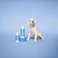 thumbnail image 4 of Paul Mitchell Pet Awapuhi Shine Spray, 8.5 oz., 4 of 6