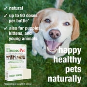 HomeoPet DOGGY DENTAL, Water Additive, Dental Care Support Drops for Dogs, 15 mL