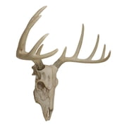 Ebros Gift Rustic Hunter 15.5” x 14.25” Deer Skull Antler Wall Pediment