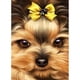 thumbnail image 2 of Cuadros Decorativos Yorkshire Dog 5D DIY Diamond Painting Kits Full Round Drill Wall Decor (B5656) Ehuebsd embutido en tela, 2 of 8