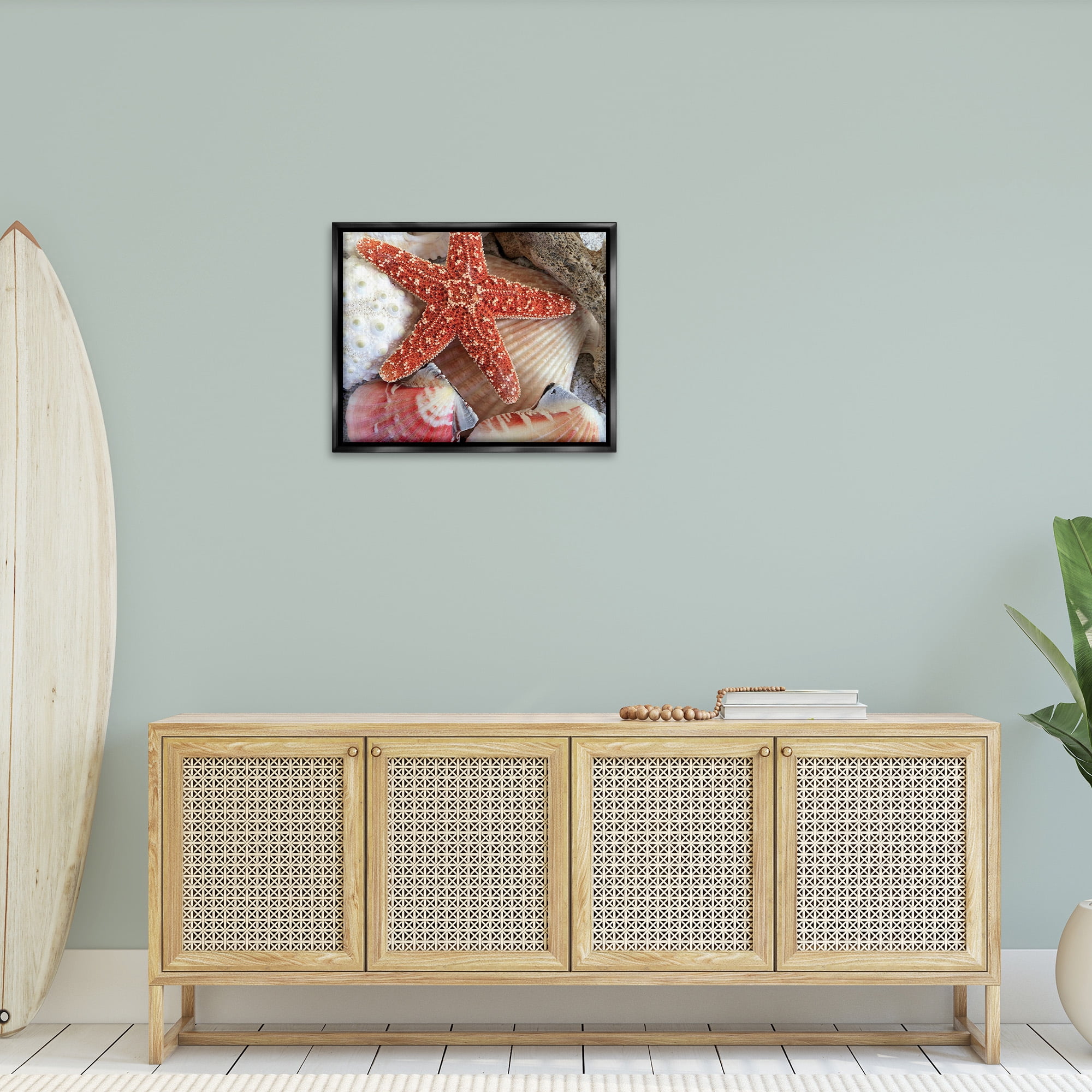 Stupell Industries Various Seashells Ashore Animals & Insects Photography Black Floater Framed Canvas Art Print Wall Art, 31 x 25
